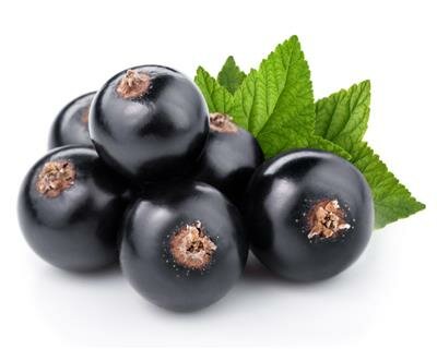 Schwarze Johannisbeere - Lebensmittelaroma 10ml