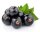 Schwarze Johannisbeere - Lebensmittelaroma 10ml