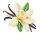 Vanille - Lebensmittelaroma 10ml